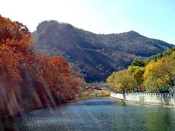 正版澳门天天开彩大全，黄山奇石名字图片